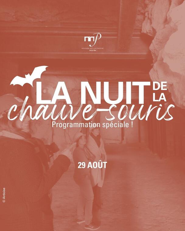 Nuit de la chauve-souris