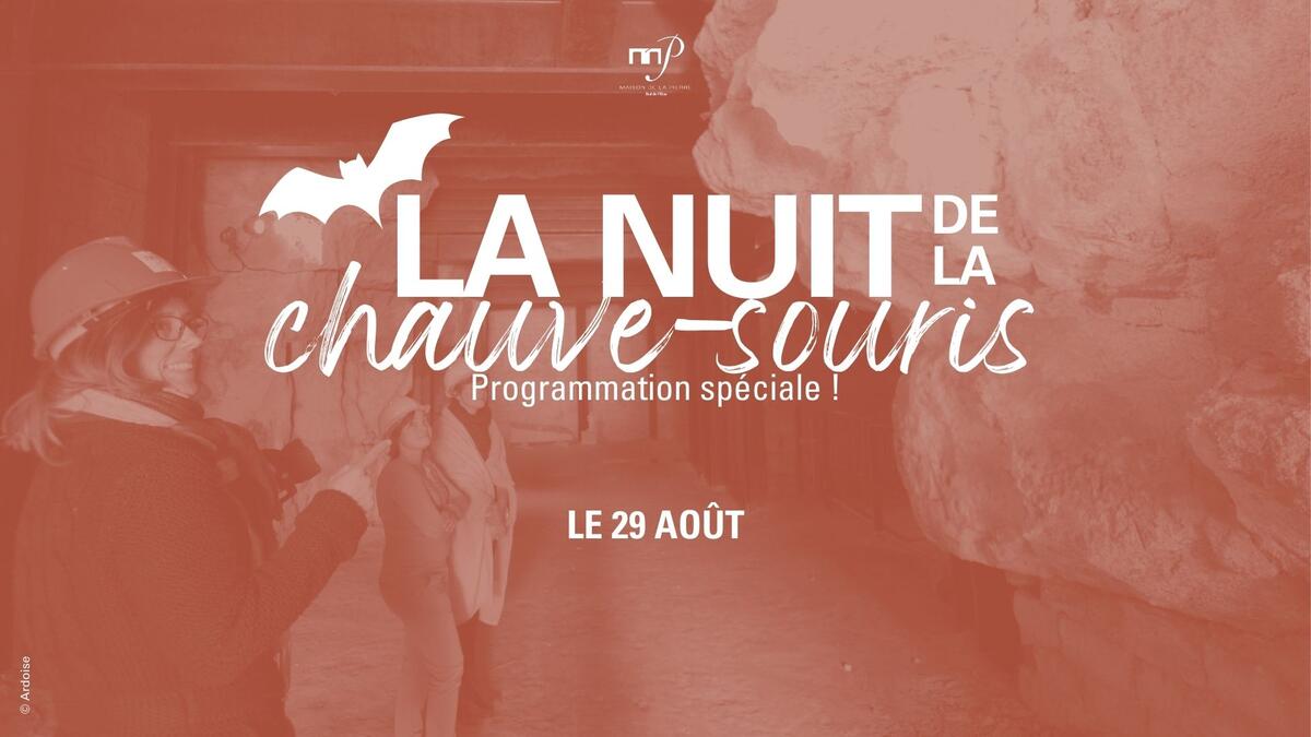 Nuit de la chauve-souris