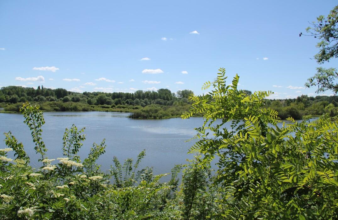 RÉSERVE DE L'ETANG SAINT-LADRE À BOVES