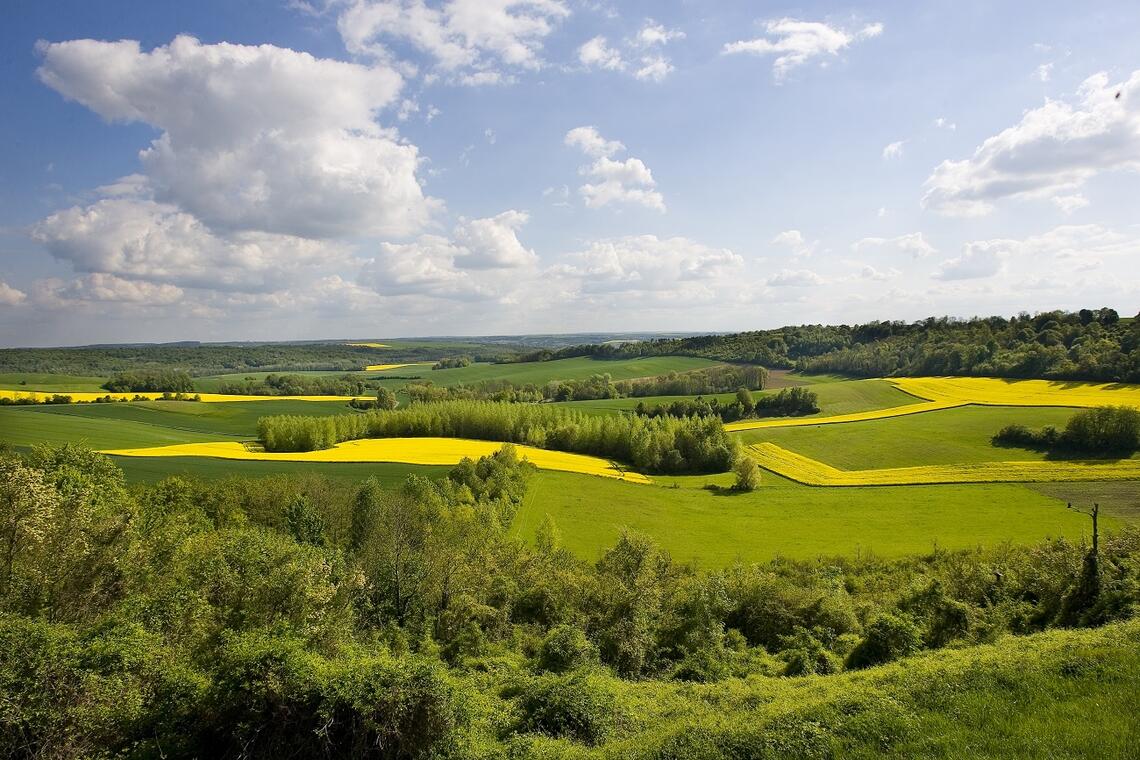 Panorama caverne du dragon Chemin des Dames < Aisne < Picardie