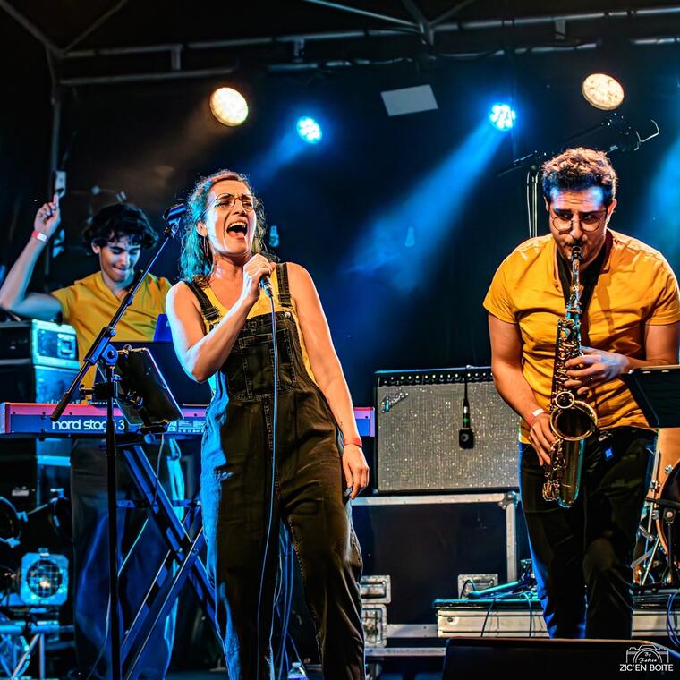 Concerts d'été - Funky Ducks