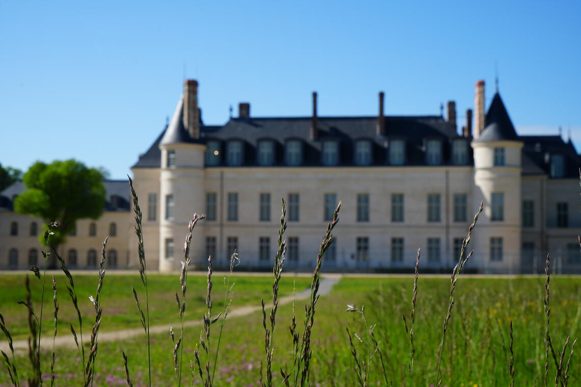 Cité internationale de la langue française