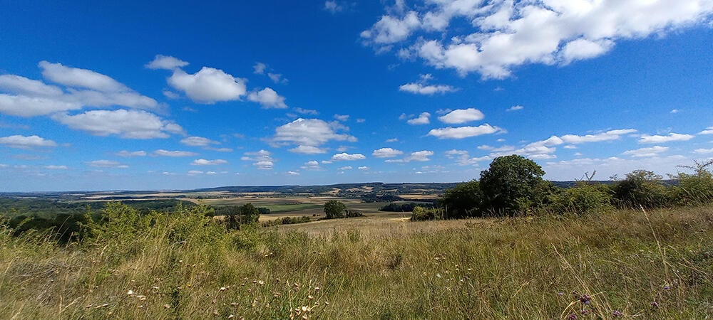 Sortie nature < Beaurieux < Aisne < Picardie