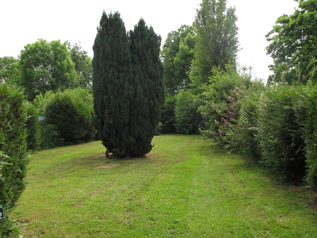 Camping belle étoile