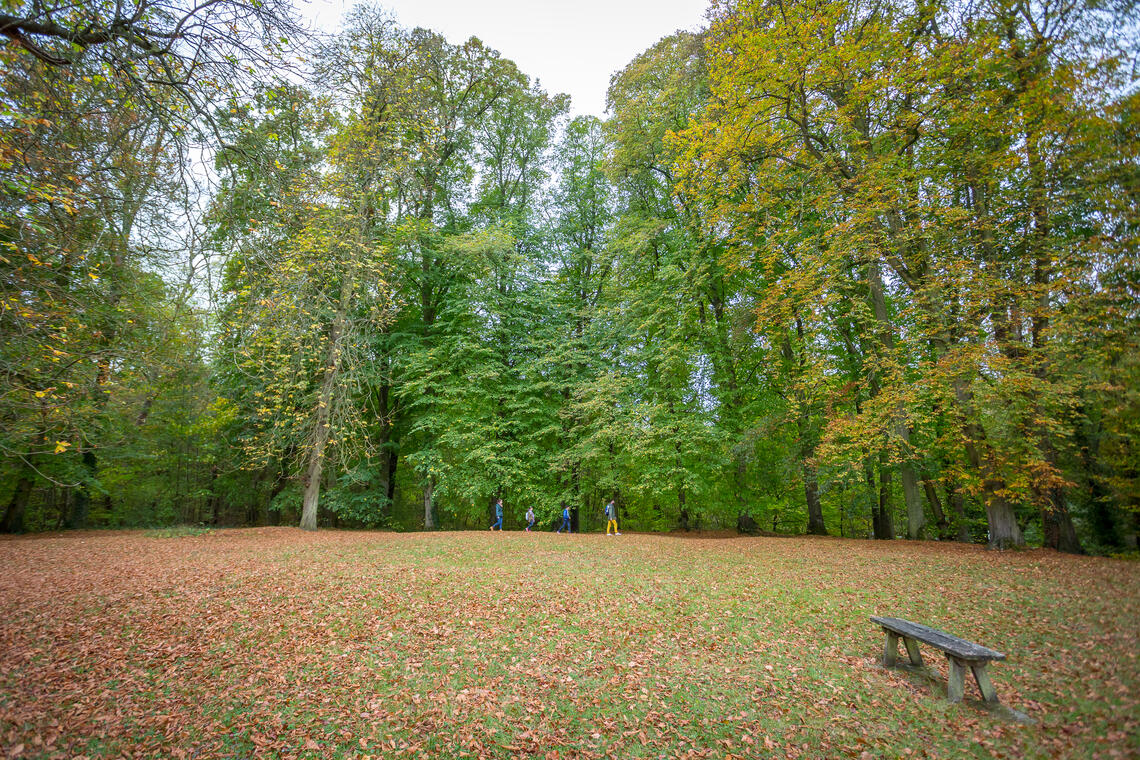 La-Neuville-En-Hez_foret_2018©BrunoBEUCHER (38)