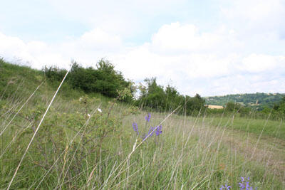 Pelouse calcicole I < Oeuilly < Aisne < Picardie