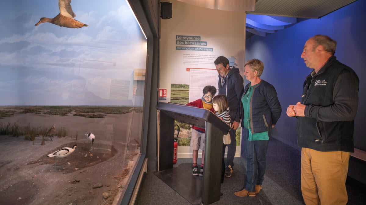 Maison de la Baie de Somme - Diorama interactif