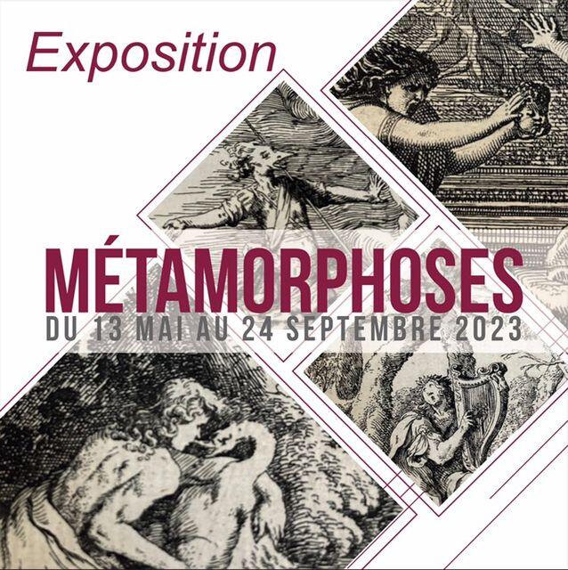 metamorphoses