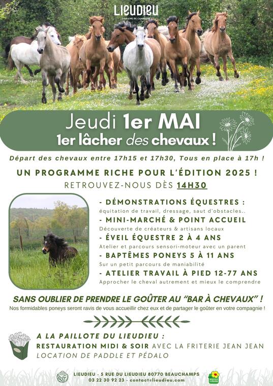 affiche 1er lacher de chevaux
