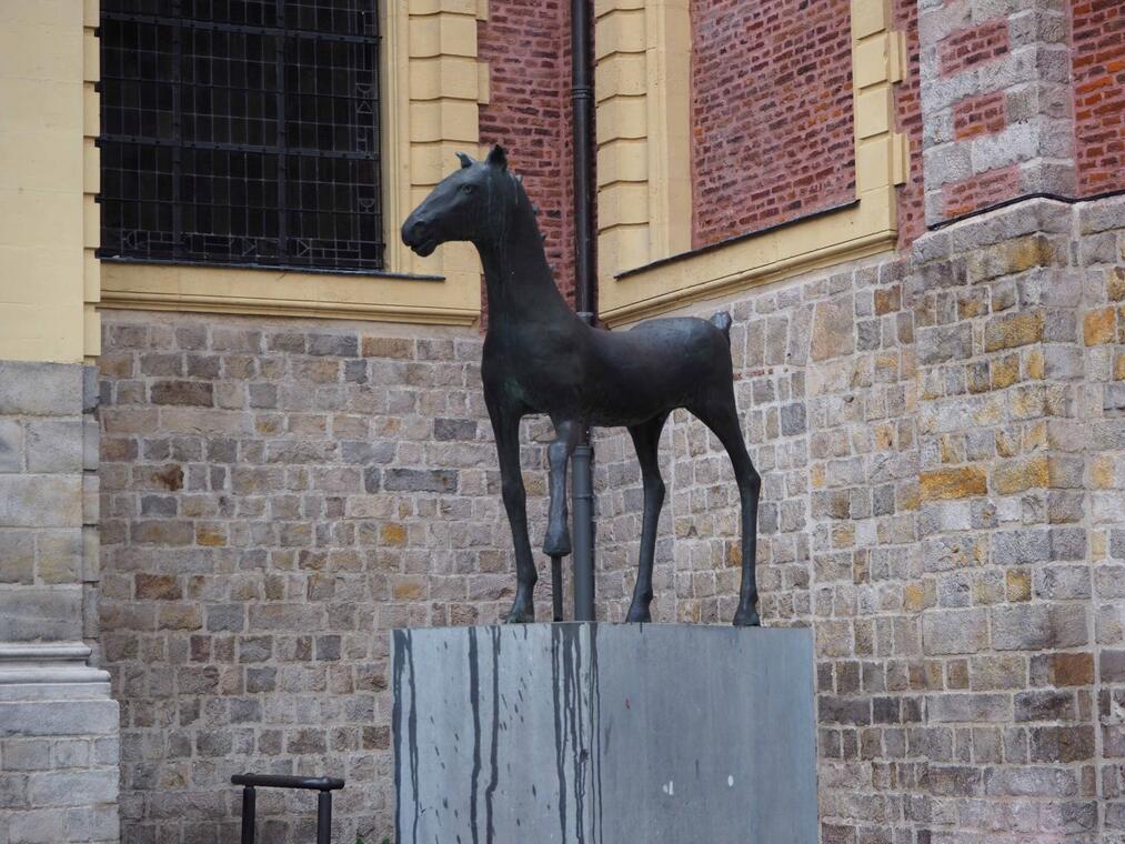 cheval de Flanagan - Douai - Douaisis - Nord - France