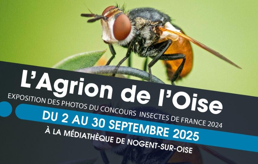 expo lagrion concours photo insectes 2024