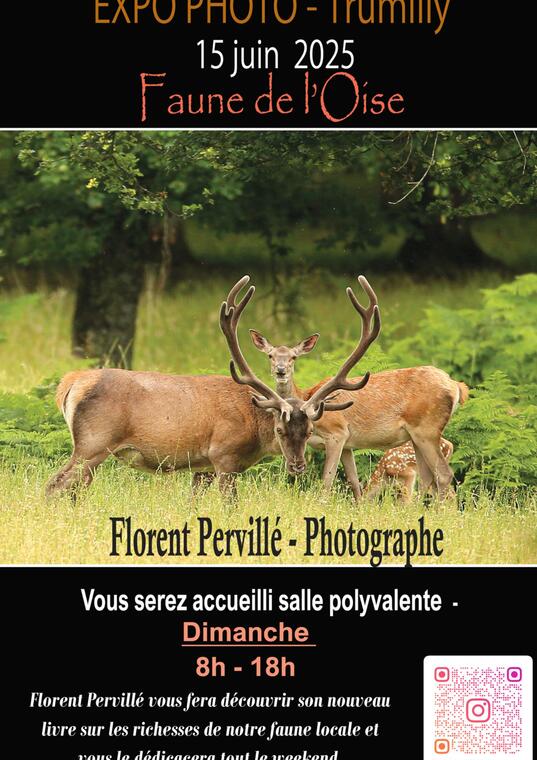 Design sans titre - 1
