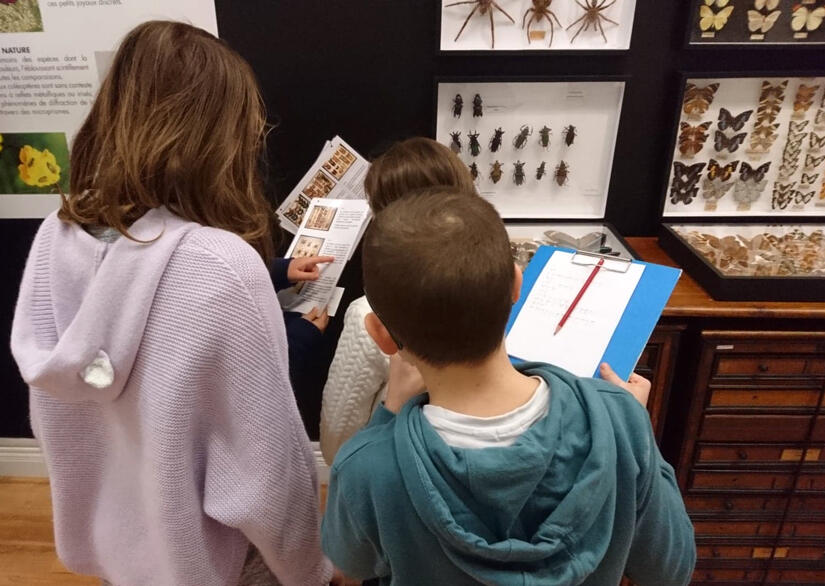 enfants-au-musée-des-papillons