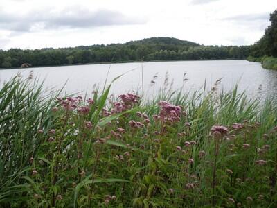 fere-en-tardenois-parc-des-bruyeres