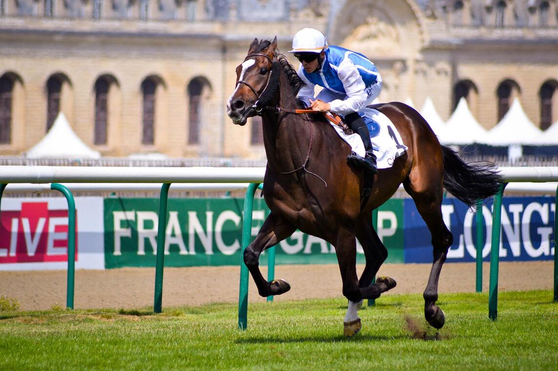 Course hippique hippodrome Chantilly