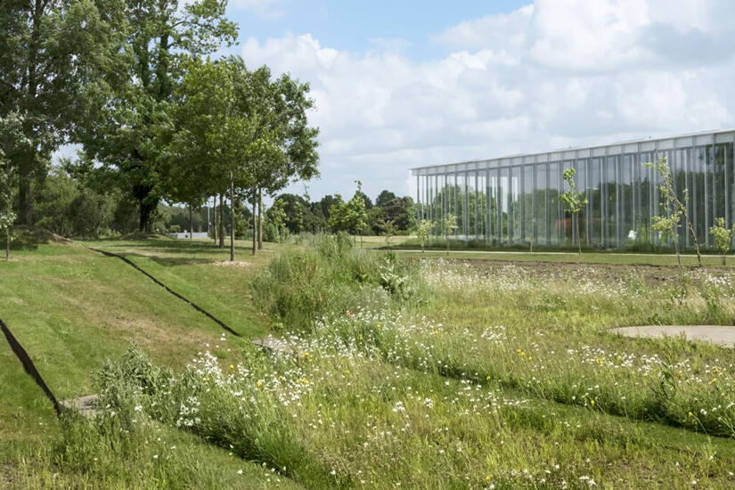 louvre-lens