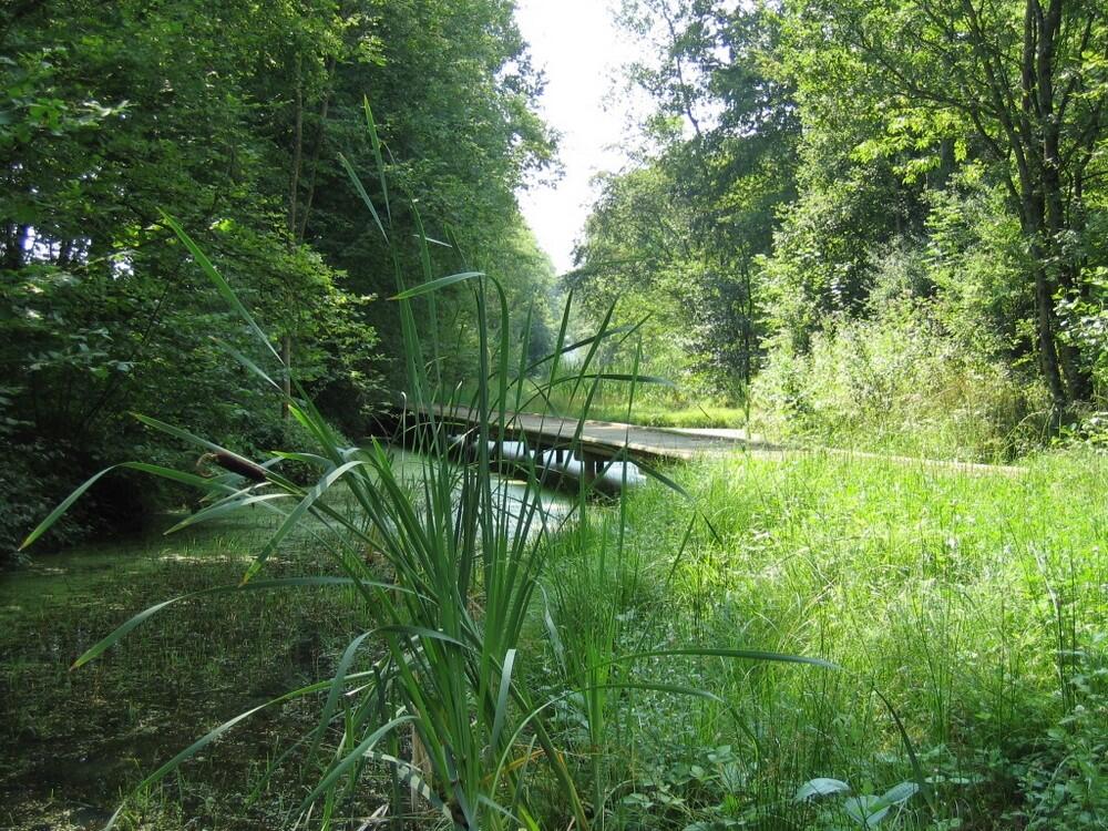 Val de Serre < Grandrieux < Thiérache < Aisne < Picardie < Hauts de France