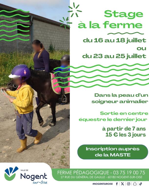 stage ferme été