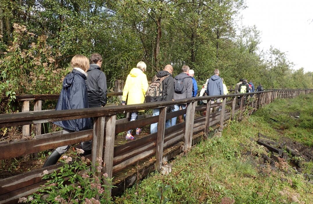 Le marais de Sacy en visite