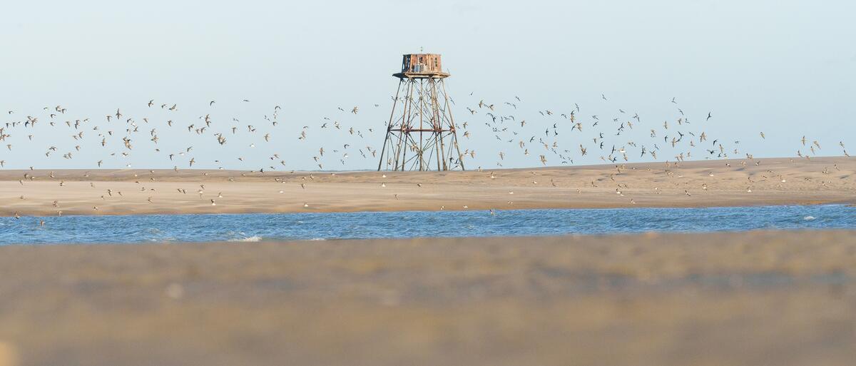 Phare de Walde