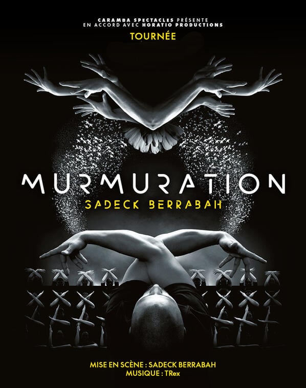 Murmuration_1