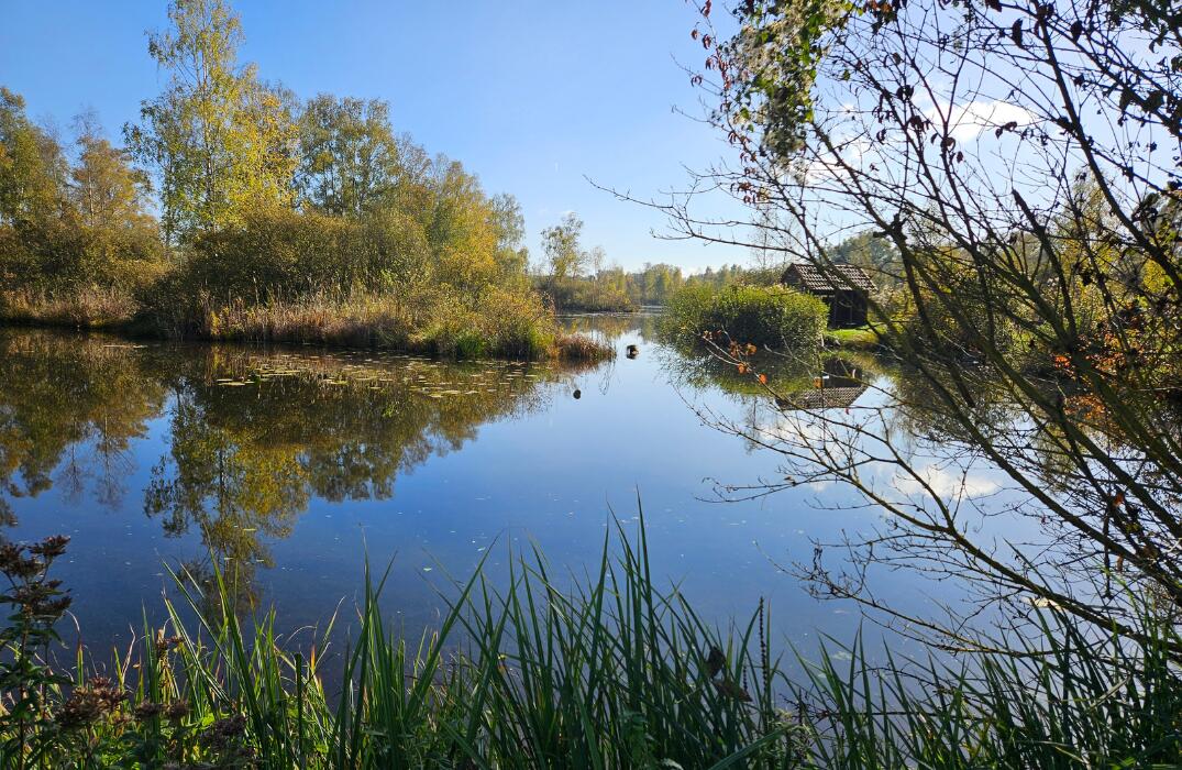 Marais de Génonville