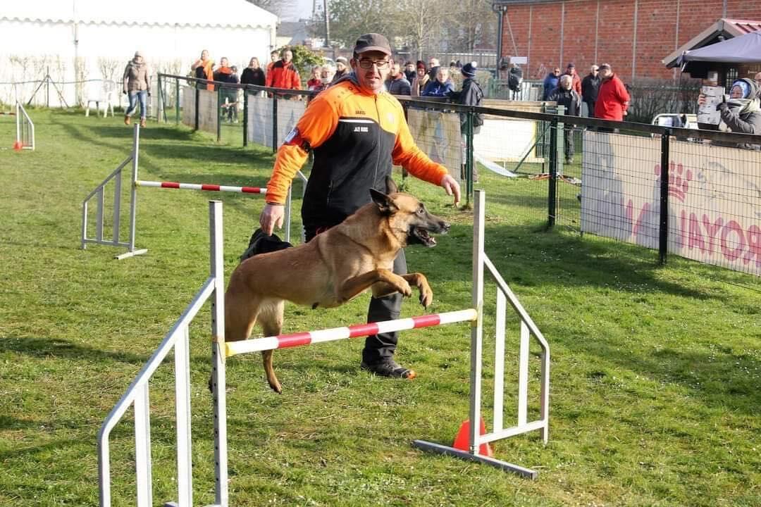 concours canin 2022