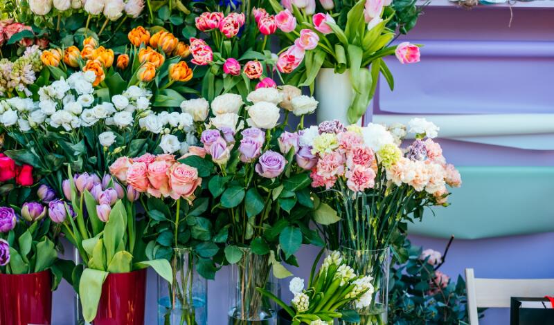 Bourse aux plantes