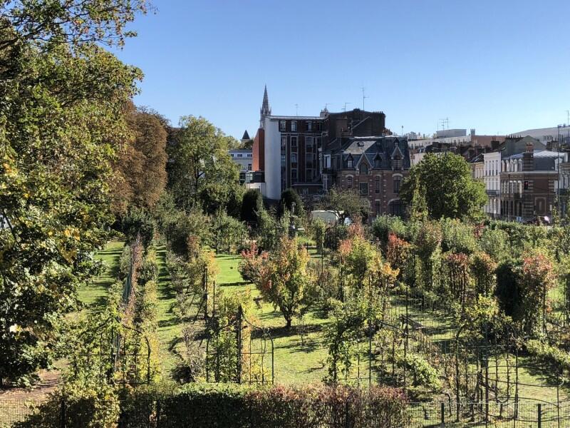 jardin-arboriculture-fruitiere-lille