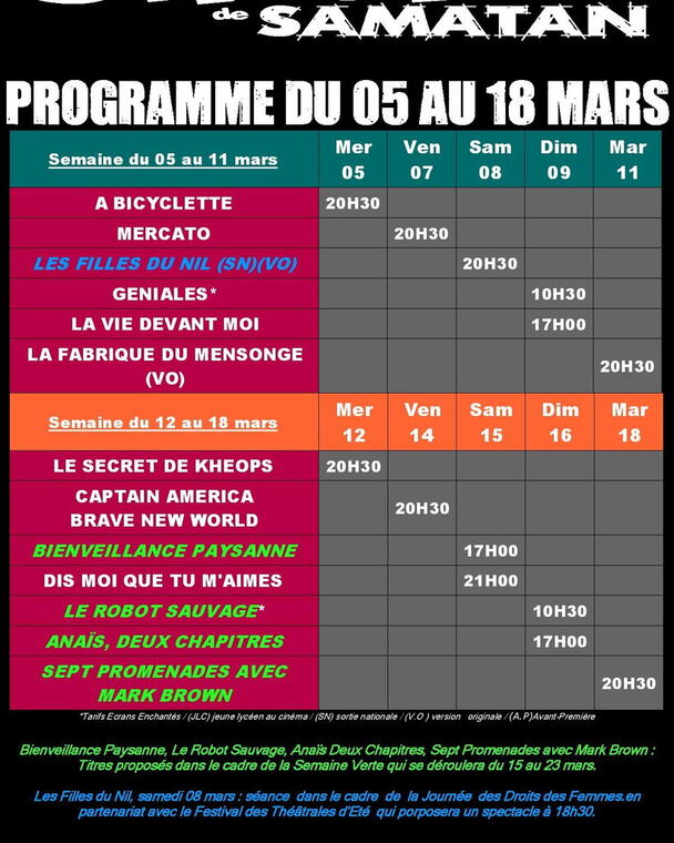 Affiche prog ciné du 3 au 18 -03-25