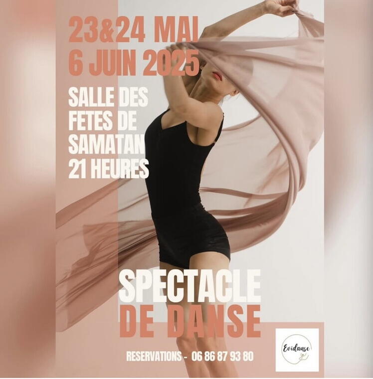 Affiche spectacle  Evidanse