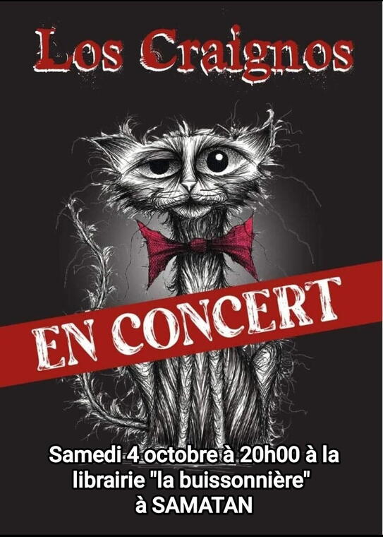 Affiche concert