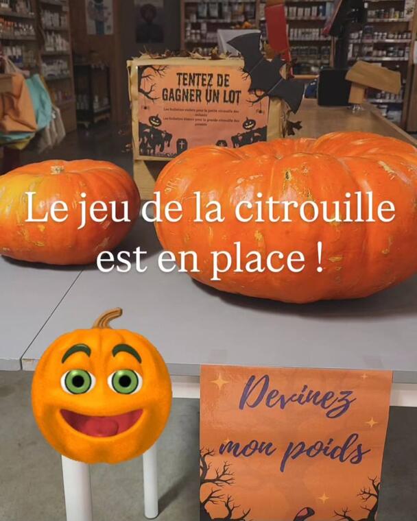 Biocoop - Jeu de la Citrouille.jpg