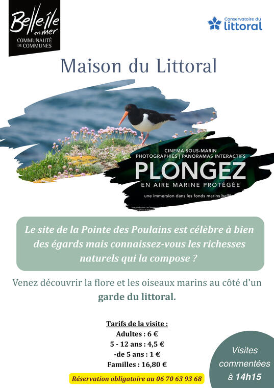 Visite guidé - Sortie ornitho.jpg
