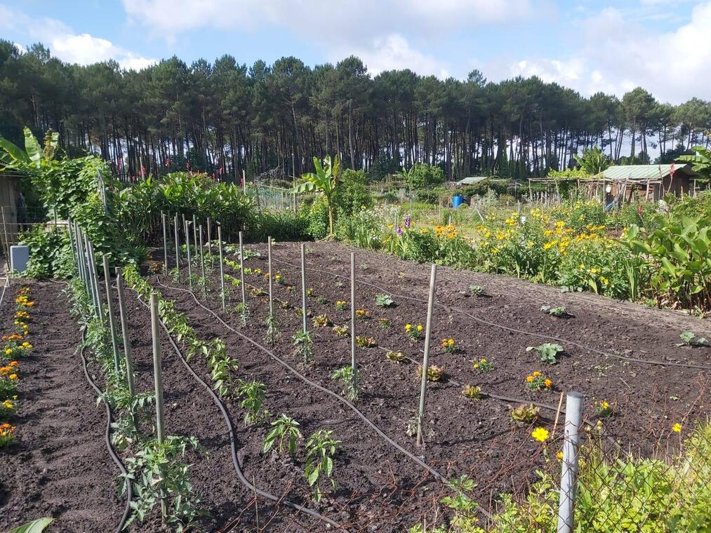 JardinsFamiliauxMontdeMarsan.jpg