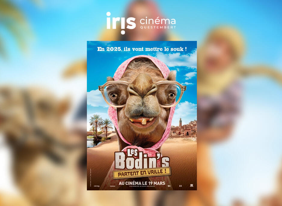 visuel gabarit la roche-les bodins - IRIS CINEMA.jpg