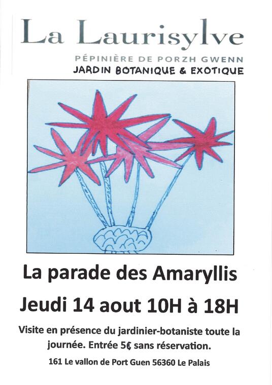 parade amaryllis_page-0001.jpg