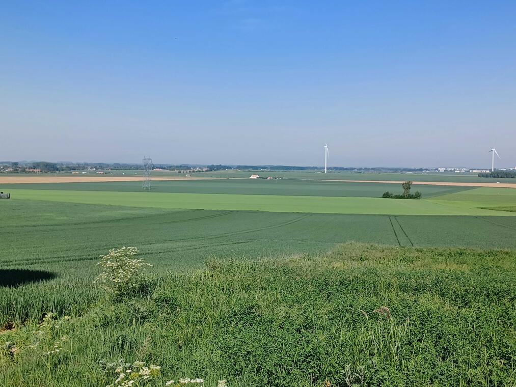 Randonnée Erchin, Douaisis.jpg