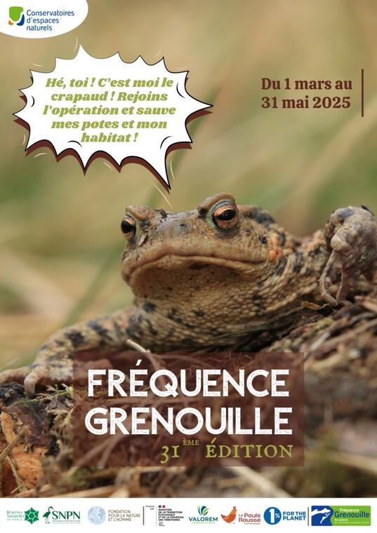 Affiche_fréquence_grenouille.jpg