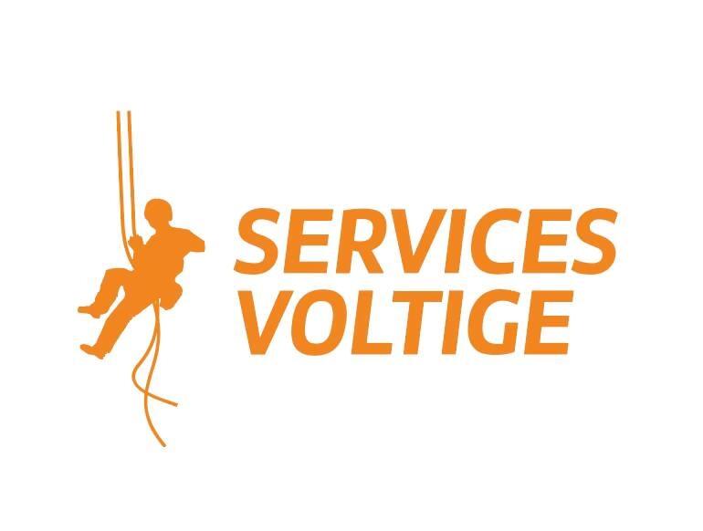 service voltique jpg.jpg