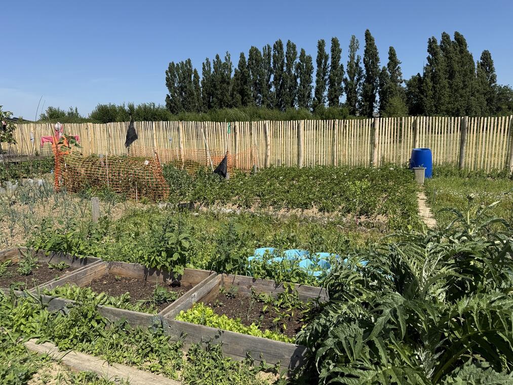 Jardins familliaux (3).jpg