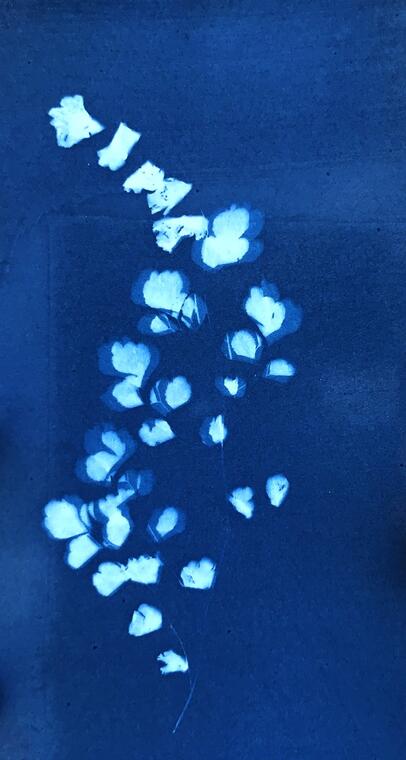 img-name-mising