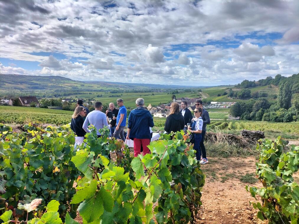 groupe dans les vignes