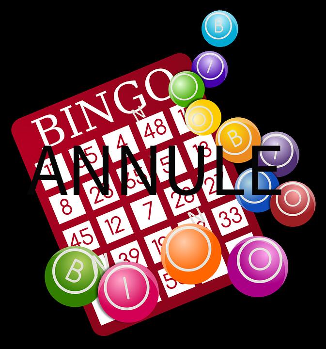 bingo-annule-291695