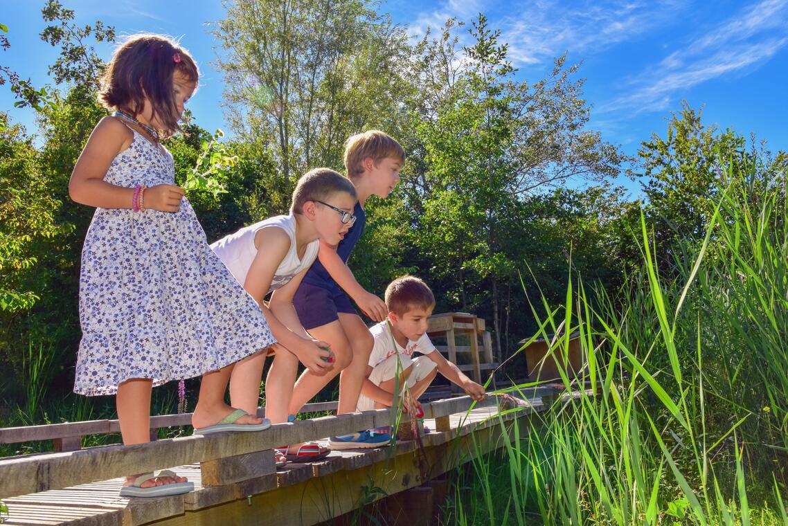 Animations enfants©Eden62 (1)