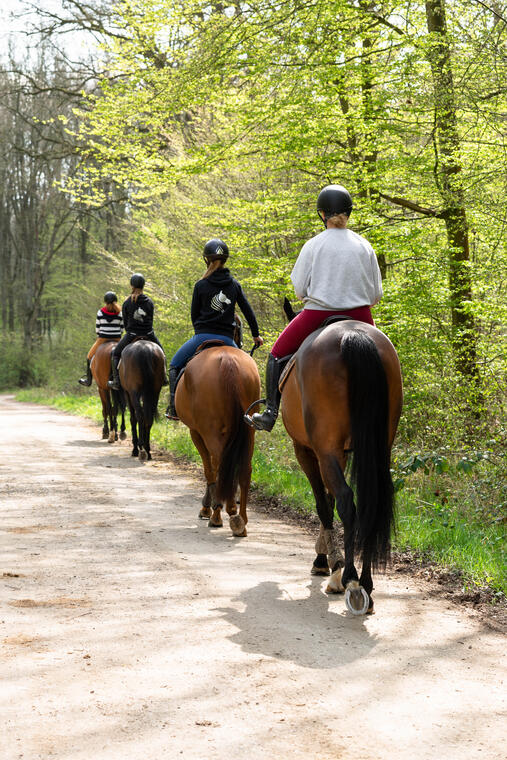 Forêt Clairmarais Chevaux randonnée 2019 CLAIRMARAIS