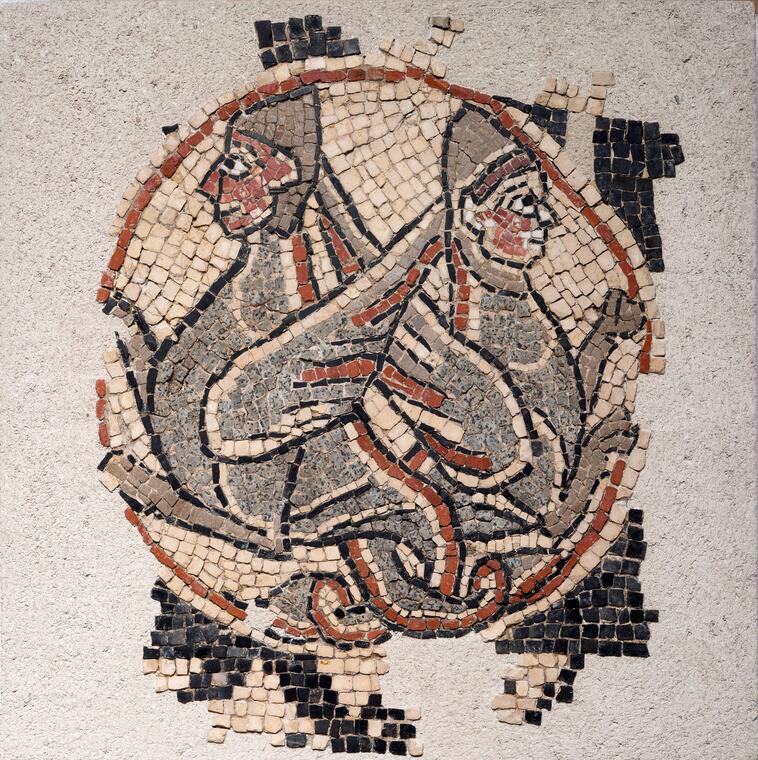 11-06-visite-jumelee-grands-sites-medievaux-audomarois-copyright-Franck-Boucourt-musees-de-Saint-Omer