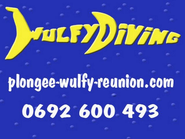 Wulfy Diving