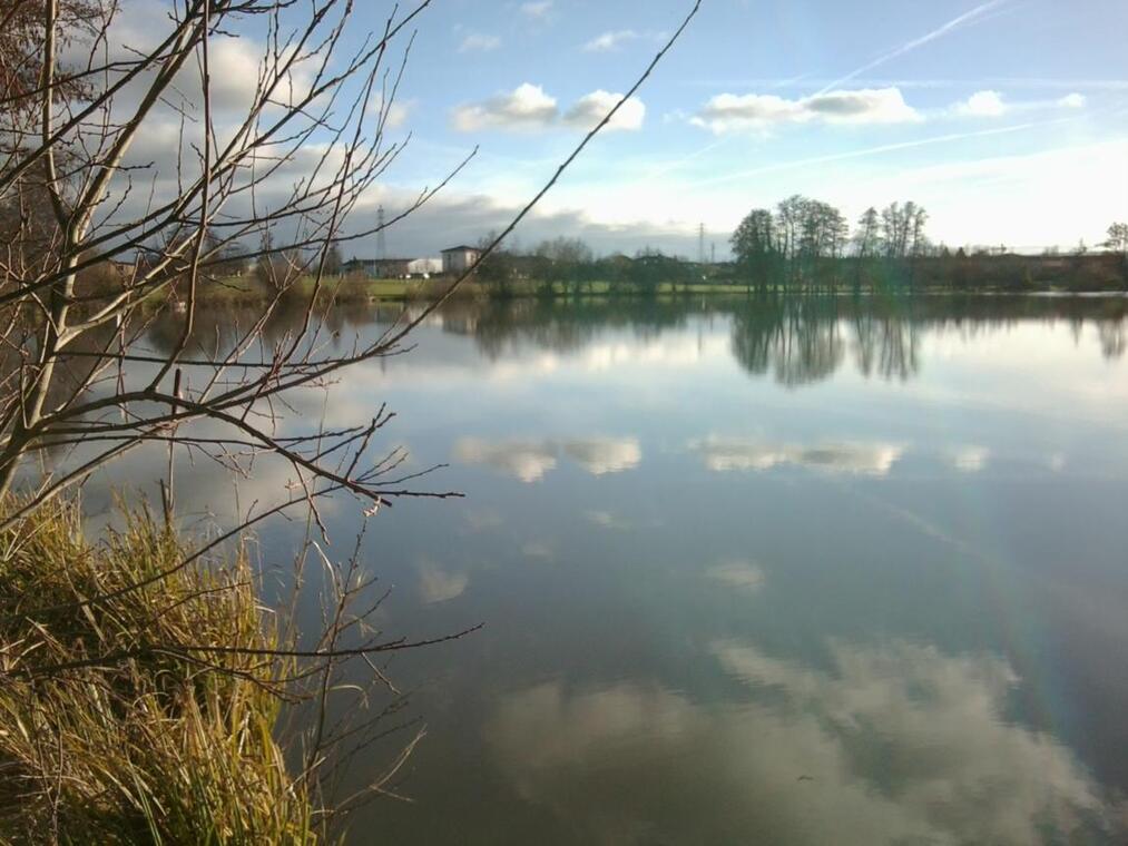 Etang de Savigneux