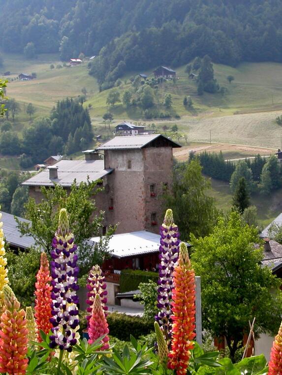 La maison forte De Bieu